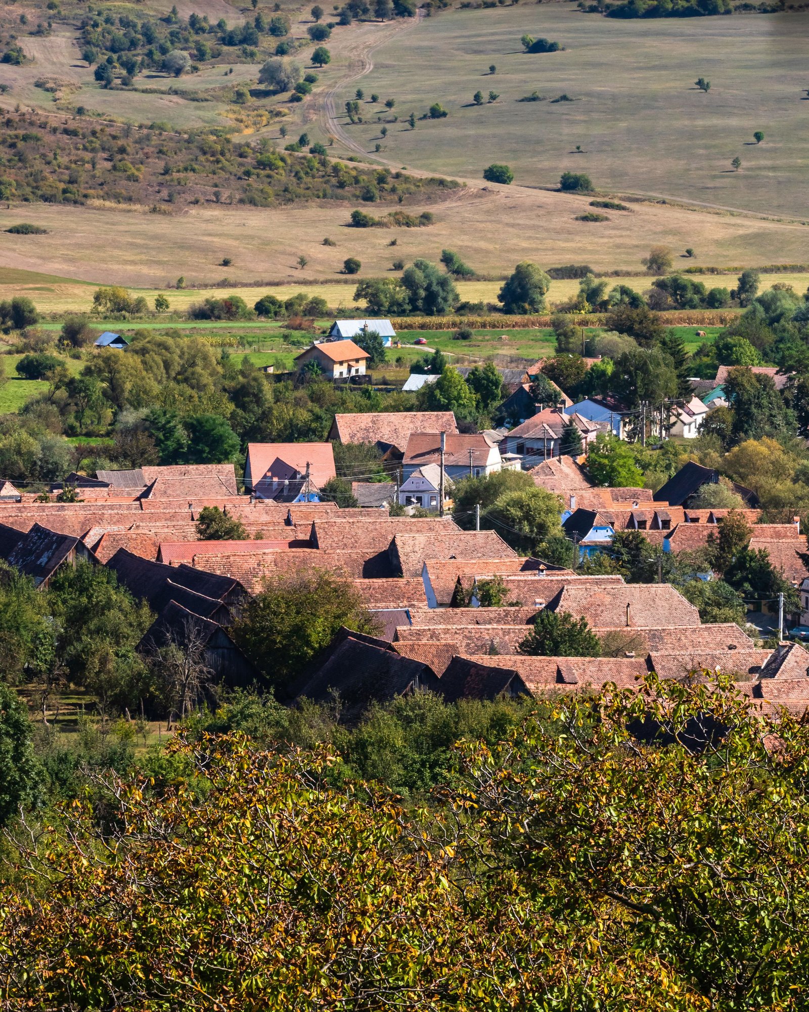 Saga kuca u srbobranu 08